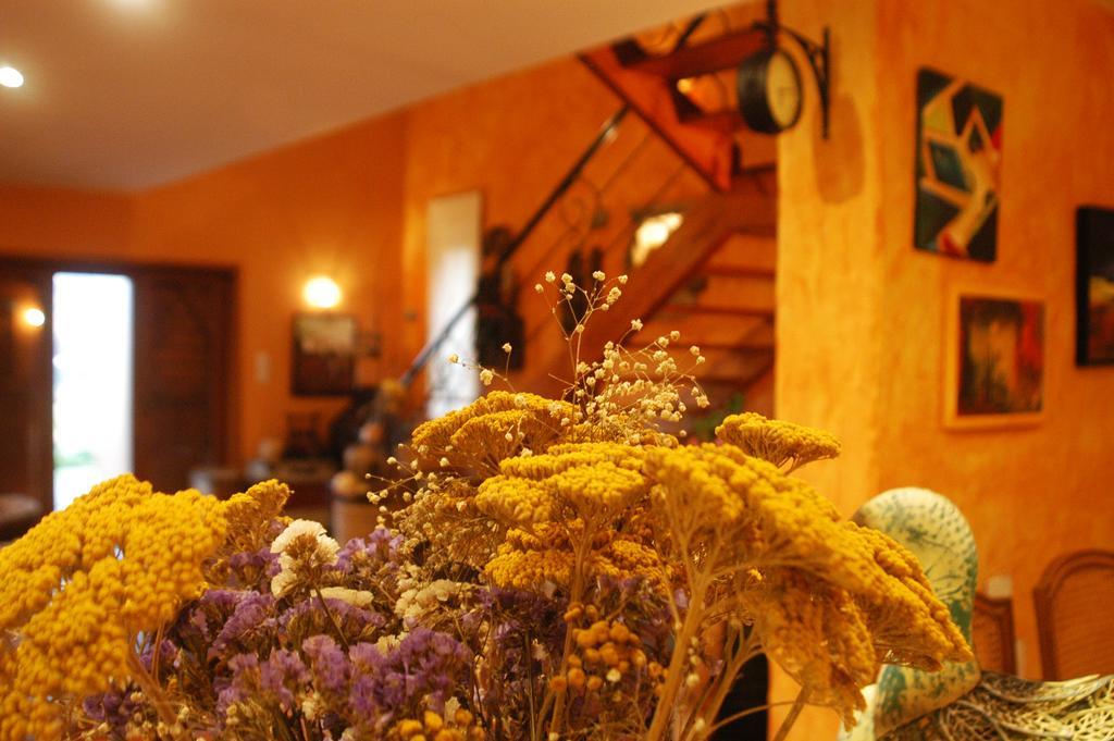Olival House Villa Paco de Sousa Luaran gambar